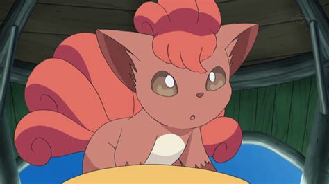 Samson Oak Anime Pokémon Wiki Fandom Powered By Wikia