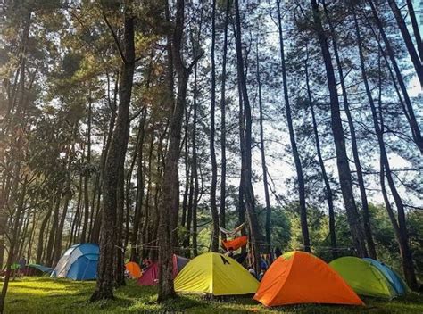 5 Rekomendasi Tempat Camping Di Bogor View Gunung Nomor 4 Dekat Sungai