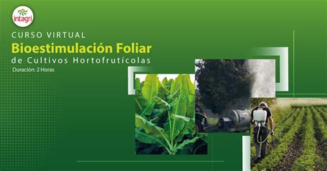 Conferencia Bioestimulaci N Foliar De Cultivos Hortofrut Colas