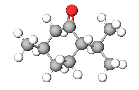 Menthone (model) - Tisserand Institute