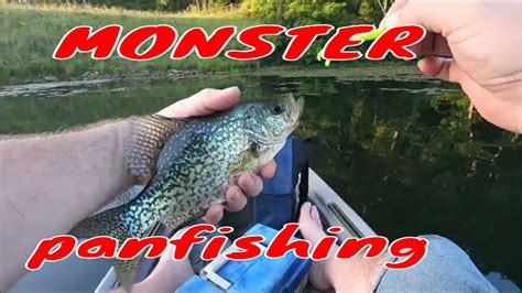 How To Catch Monster Crappie And Bluegills On Lures I Catch My Pb