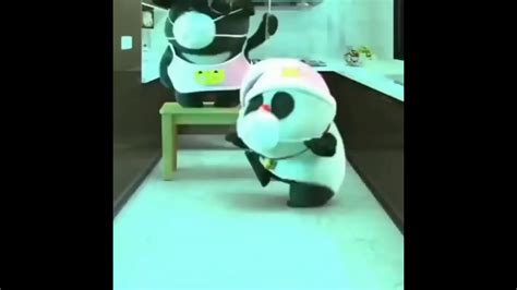 Cute Panda Dancing On Tum Kya Jaano Mohabbat Kya Hai Panda Dancing