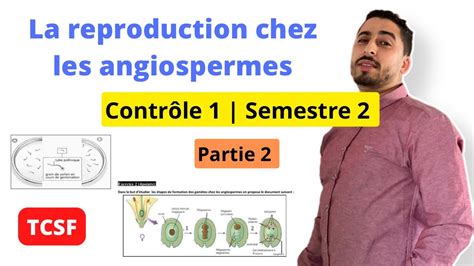 Tcsf Contr Le Semestre La Reproduction Chez Les Angiospermes