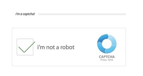Captcha Y Recaptcha Qu Son Y En Qu Se Diferencian