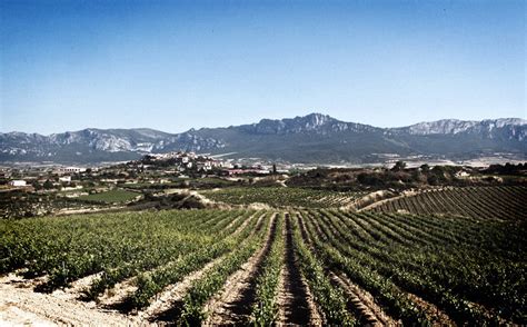 Bodega Casa Primicia Bodegas Casa Primicia