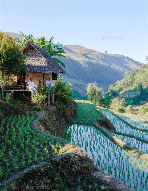 Couple Visit A Rice Farm With Rice Fields In Northern Thailand Rice