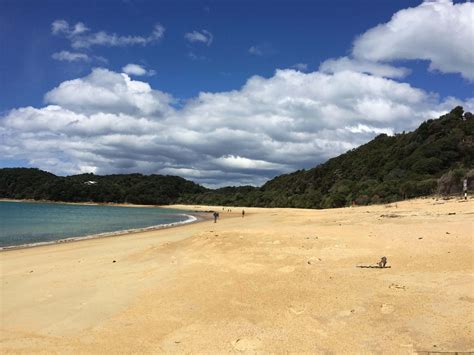 The Best 3 Beaches in the Abel Tasman National Park, New Zealand