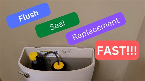 Replace A Kohler Toilet Flush Valve Seal In 2 Minutes YouTube