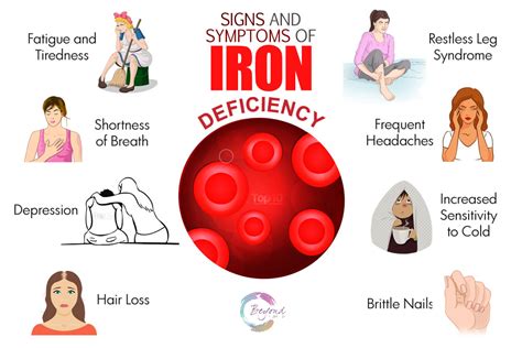 We At Beyond Nutrition Can Help You Avoid Iron Deficiency And Stay Healthy