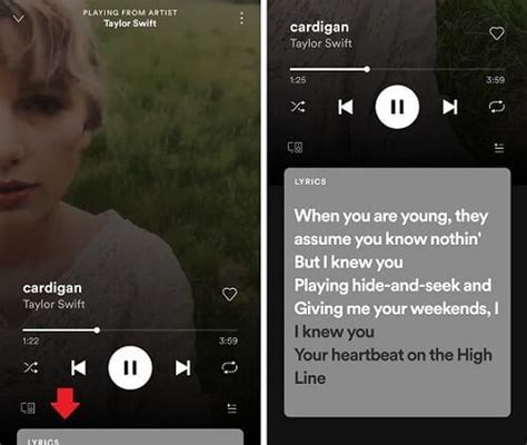 Kenapa Spotify Tidak Ada Liriknya Penyebab Dan Cara Mengatasi