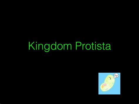 (PDF) Kingdom Protista - Class Webpage · 2019-08-31 · Kingdom Protista ...