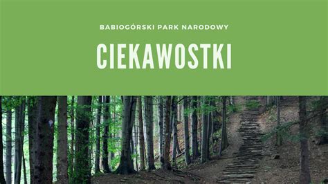 Babiogórski Park Narodowy Babiogórski Park Narodowy Ciekawostki