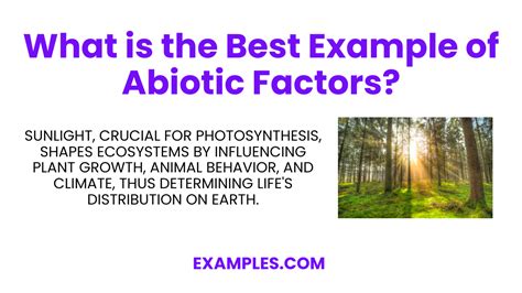 Abiotic Factors - Examples, Categorization, PDF