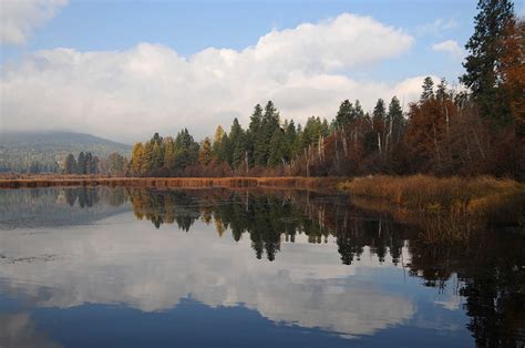 Idaho Nature Notes: McArthur Lake Forest Land Protected