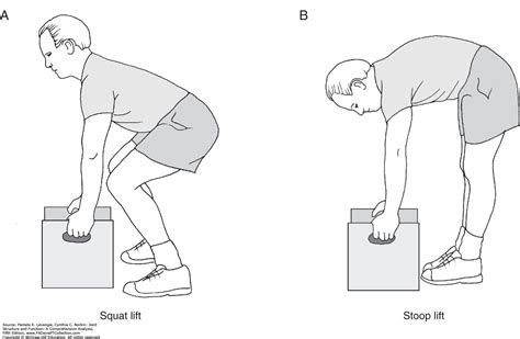 「Kinesiology」おしゃれまとめの人気アイデア｜Pinterest｜Gilbert Ganesha