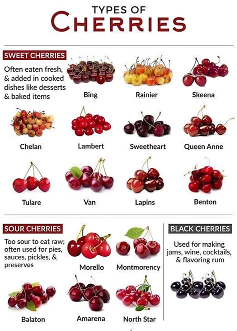 Types Of Berries List Of Berries With Yummy Pictures Artofit