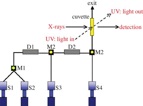 Schematic Of The Stopped Flow Including Xas And Uv Vis Experimentation