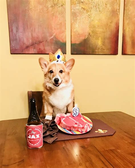 Happy Birthday Jax Rcorgi