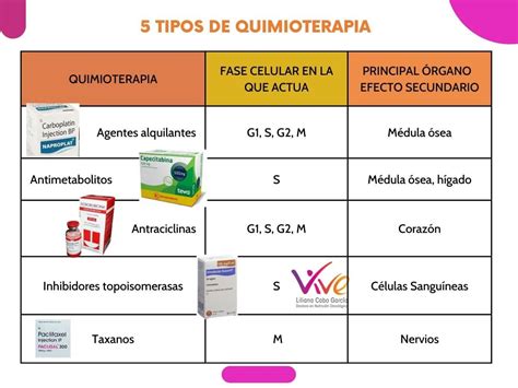 Tipos De Quimioterapia Y Alimentaci N Todo Lo Que Necesitas Saber Vive