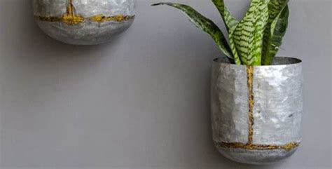 Get The Best Wall Planters Online LBB