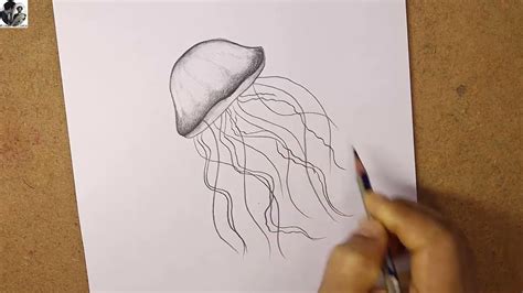 How To Draw A Jellyfish Step By Step Infoupdate Org