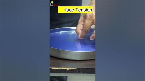 Surface Tension Floating Needle Floating Needle On The Water Science Experiment Youtube