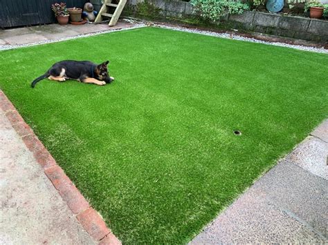 Pet Friendly Artificial Grass Perth Dundee Perth Dundee