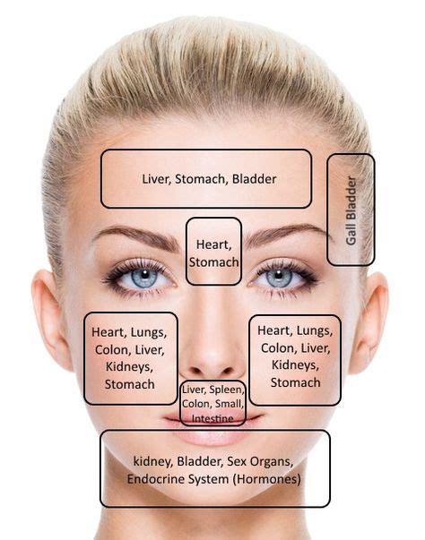 Acne Mapping Using An Ancient Chinese Method Face Mapping Bad Acne