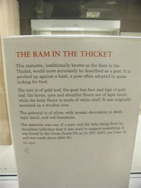 Ram Thicket