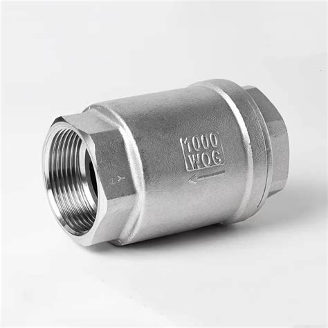 304 Stainless Steel Vertical Check Valve H12 Wire Buckle Thread Spring