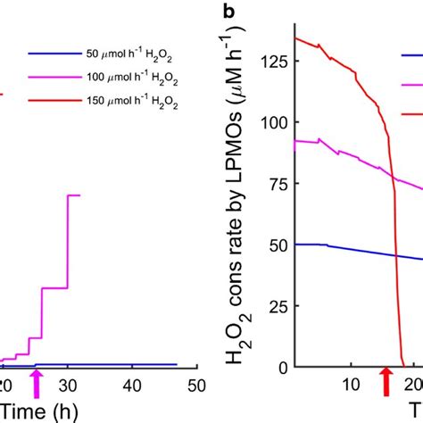 Oxidation Reduction Potential A And H2o2 Concentration B Measured Download Scientific