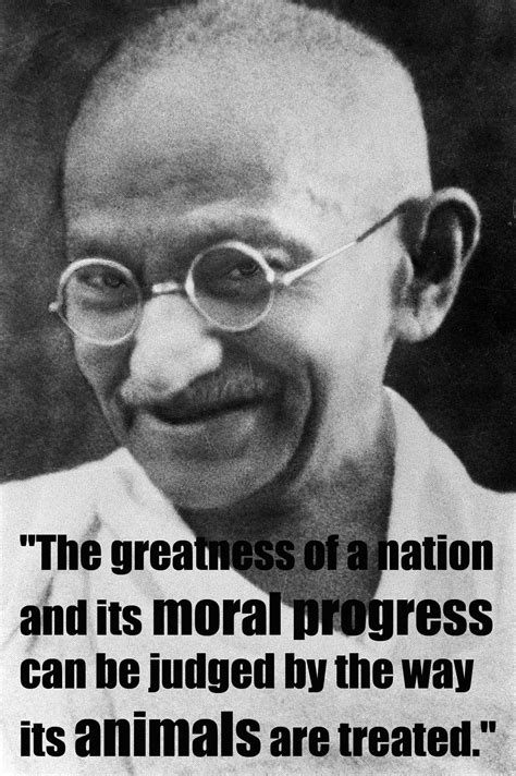 Animal Quotes By Gandhi. QuotesGram