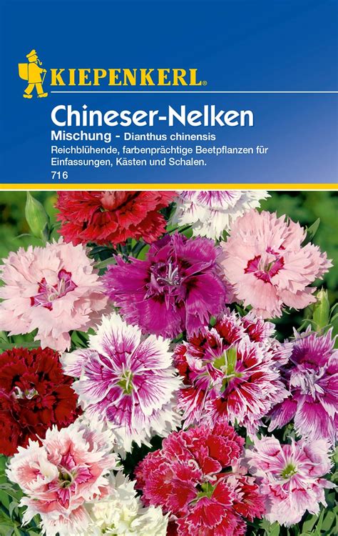 Kiepenkerl Chineser Nelken Mischung Dianthus Kaufen Bei OBI