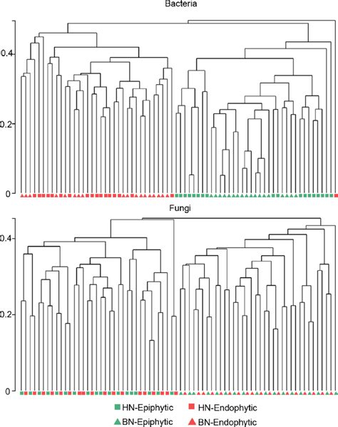 Hierarchical Clustering Of The Samples Based On Bray Curtis