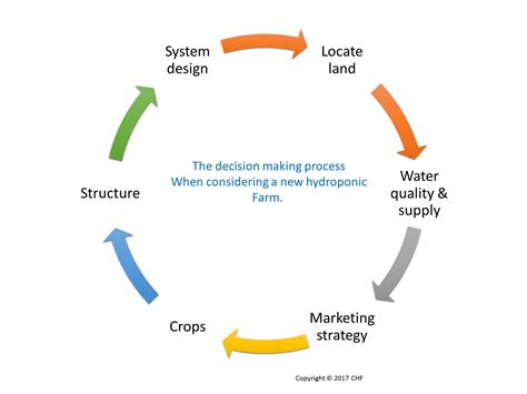 Commercial Hydroponic Farming | How do I start a hydroponic farm