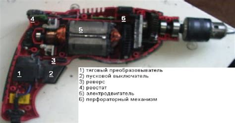 Дрель | это... Что такое Дрель?