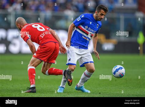 Simone Trimboli Hi Res Stock Photography And Images Alamy