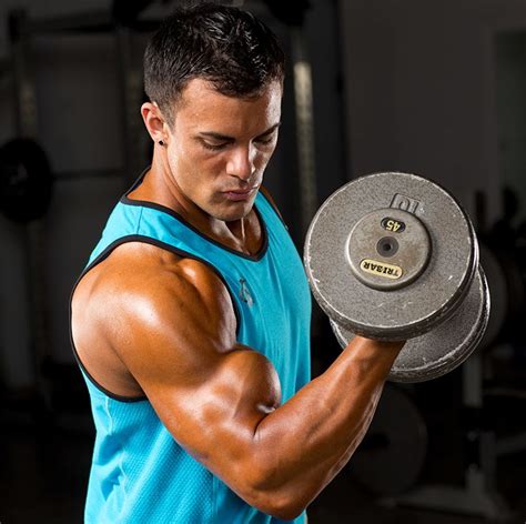 7 Bicep Exercises For Bigger Arms Online Degrees