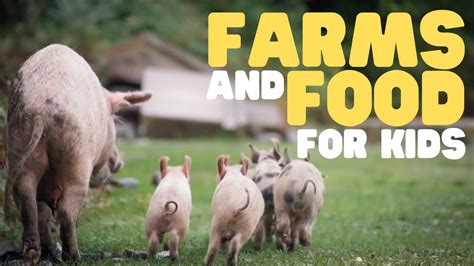 Farms And Food For Kids Learn How Food Comes From A Farm To Your