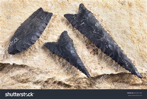 Paleo Dalton Serrated Arrowheads Made 8000 Stock Photo 561281185