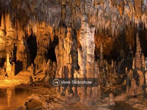 Florida Caverns State Park | 2FLA Florida's Vacation and Travel Guide