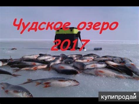 Свежемороженая рыба с Чудского озера в Волгограде