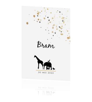 Hip Geboortekaartje Jongen Met Silhouet Olifant En Giraffe