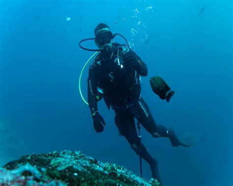 Tour De Buceo Le N Dormido Kicker Rock Localazo