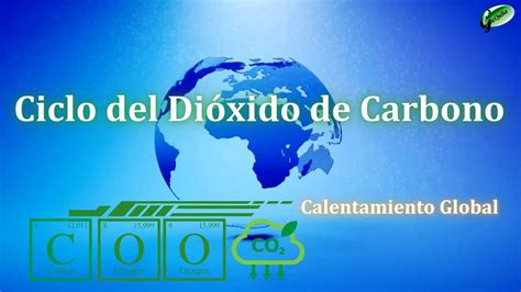 Ciclo Del Dióxido De Carbono Cambio Climático🌎 Youtube