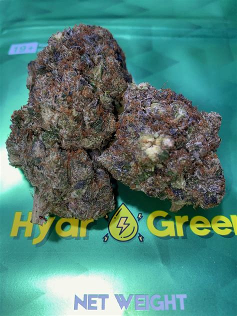 GALAXY GAS - Hydro Green Shop