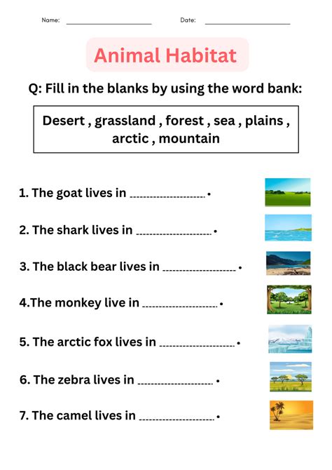 Printable Matching Activity Animal Habitats Worksheets For Grade 1 2