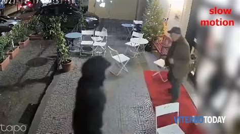 VIDEO Titolare Di Bar Aggredito Con Il Machete Paura A Vetralla