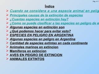 Animales en extinción PPT