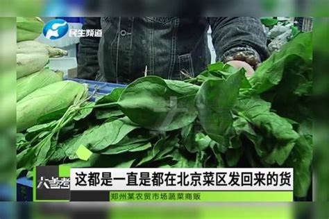 河南郑州：一斤十二块！秋天的菠菜比肉还贵！